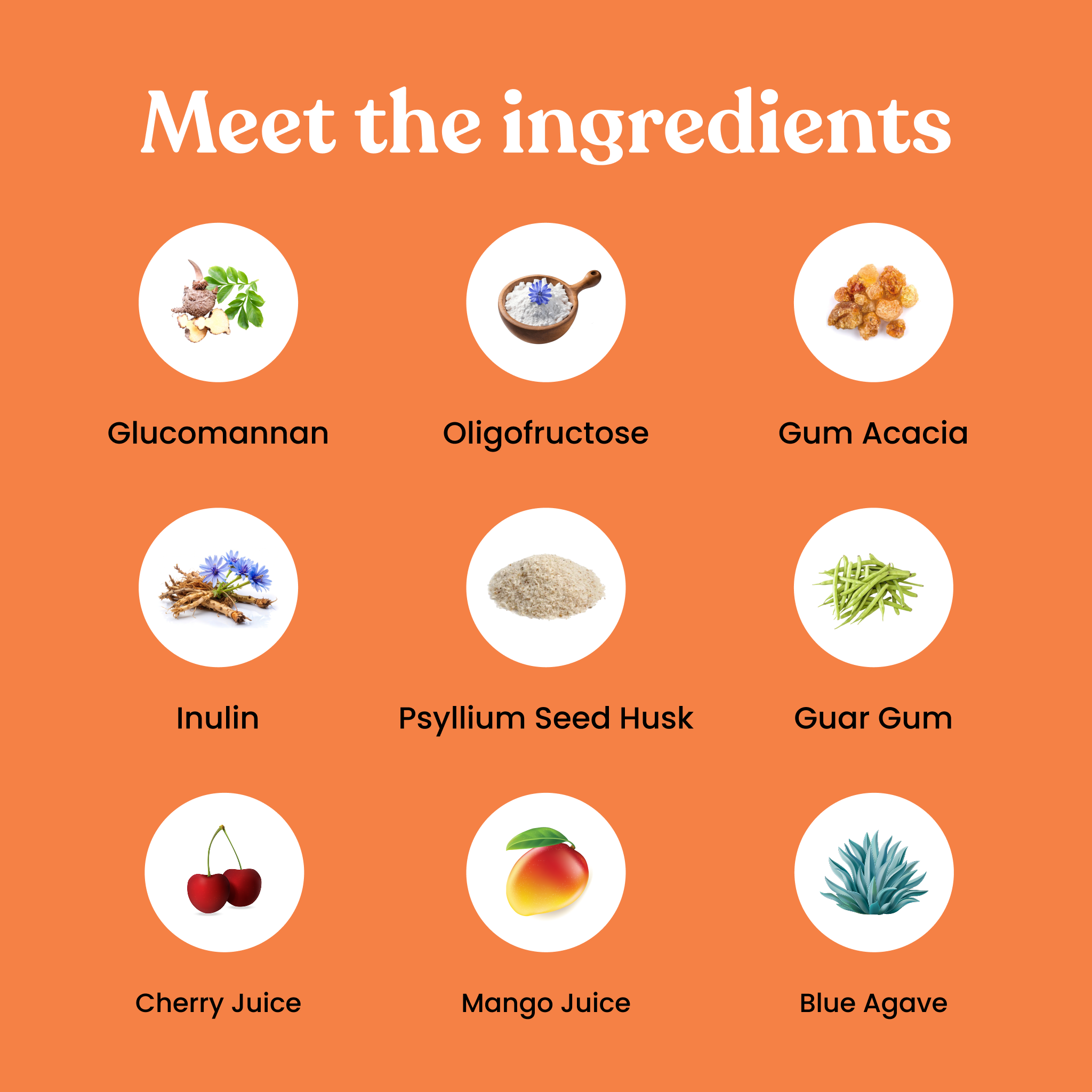 GutBrush Natural Ingredients