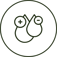 Maintain normal cholesterol levels