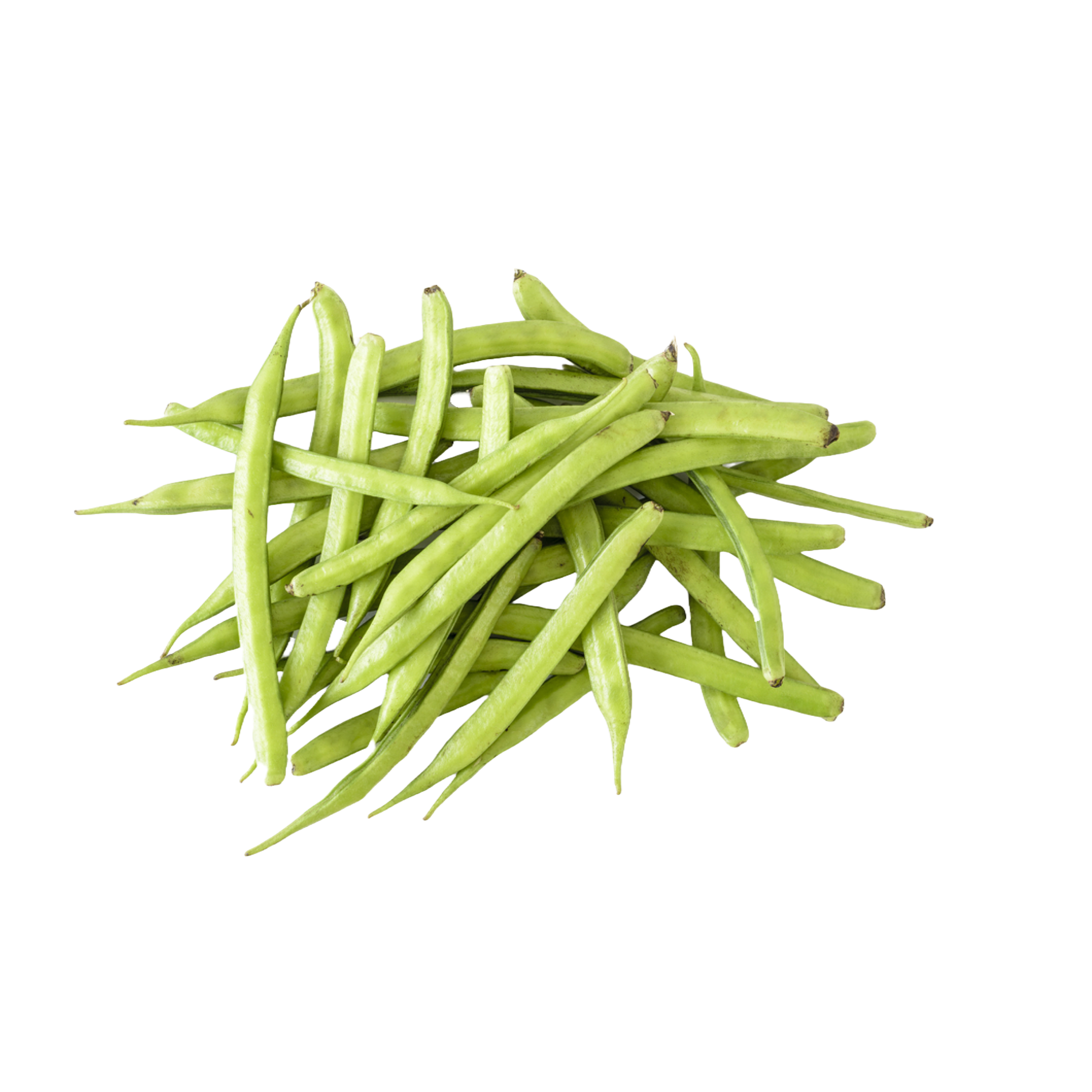 Hydrolyzed guar gum fiber